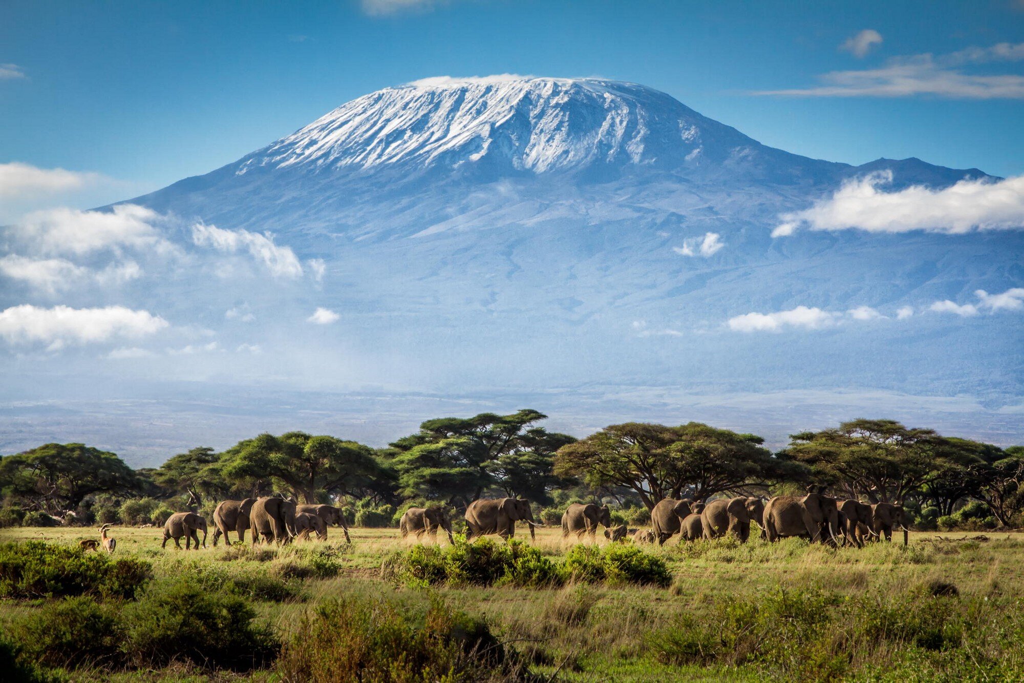 Kilimanjaro national park